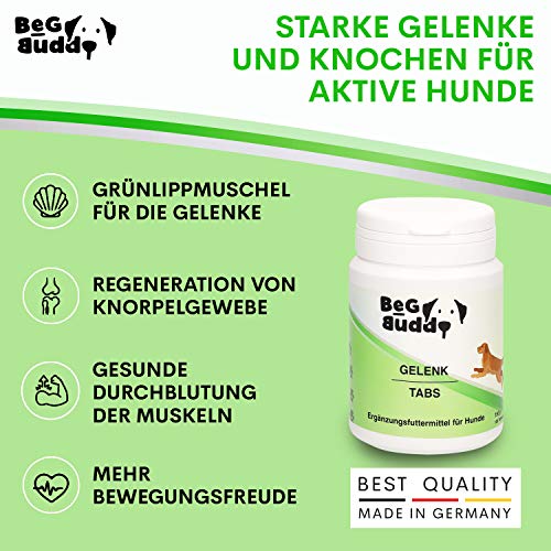 BeG Buddy Pastillas articulares para perros – Cápsulas articulares de alta dosis con mejillón verde, garra del diablo MSM, glucosamina, para todas las razas de perros, 100 pastillas