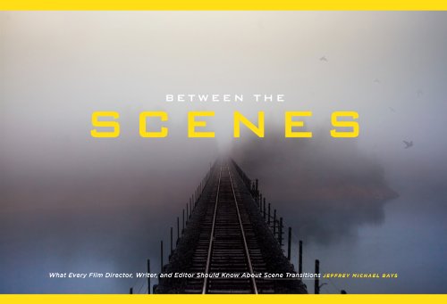 Between the Scenes: What Every Film Director, Writer, and Editor Should Know About Scene Transitions (English Edition)