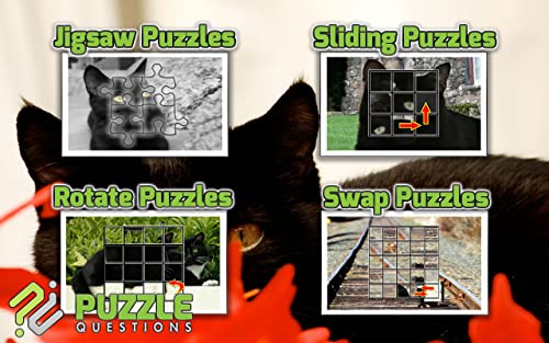 Black Cat Jigsaw Puzzle Games
