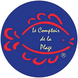 Bolso de Playa, Bolso de Compras de Vacaciones para Mujer, Bolso de Verano Fibra natural,Bolso Chic Bohemia para Mujer Bolsos de Mano de Verano Playa con Asas de cuero (azul)