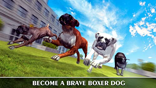 Boxer Dog in Concrete Jungle: Home Pet Animal Sim | Play Tricks in Doggy Dog World City Monster Breeds