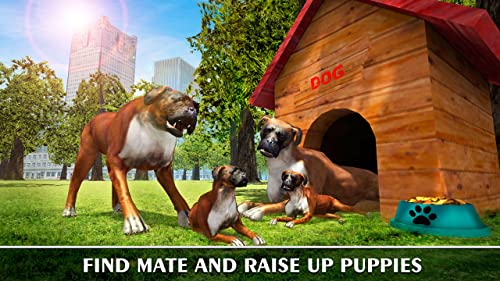 Boxer Dog in Concrete Jungle: Home Pet Animal Sim | Play Tricks in Doggy Dog World City Monster Breeds