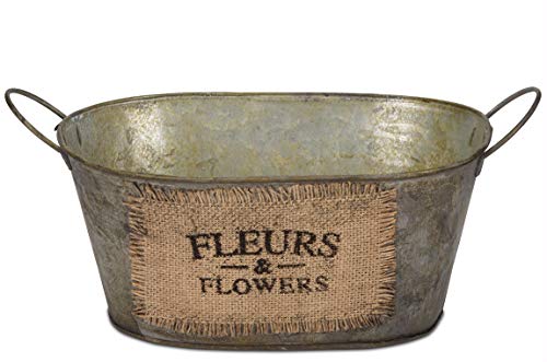 BRUBAKER Cosmetics Kit para Baños "Fresa-Coco" - Fragancia de Coco y Fresa - Set de Belleza de 11 piezas en Bañera Vintage - Set de Regalo para Mujer - Wellness Beauty Spa Set de Baño y Ducha