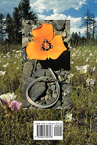 Bulbs of North America