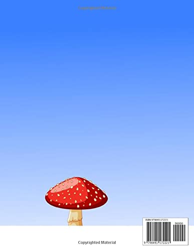 Christmas Gnome Coloring Book for Kids: Snowman | Christmas Coloring Book for Kids Ages 4-8 | Coloring Books Christmas | Messroom House | Gift for Beginners Artist