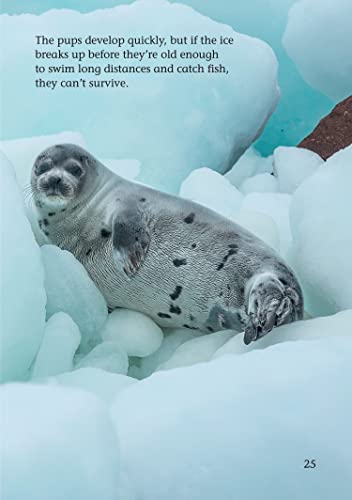 Climate Change Heatwaves and Big Freezes: Band 11+/Lime Plus (Collins Big Cat)