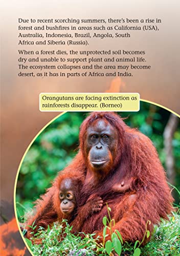 Climate Change Heatwaves and Big Freezes: Band 11+/Lime Plus (Collins Big Cat)