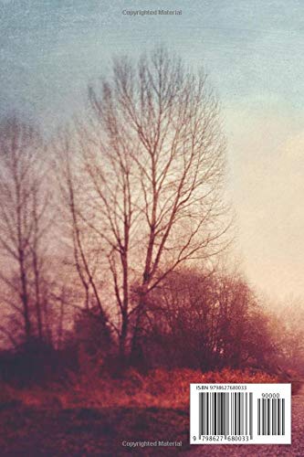 Composition Notebook: Landscapes Local Park In The Early Morning Fog Landscape Wide Ruled Note Book, Diary, Planner, Journal for Writing