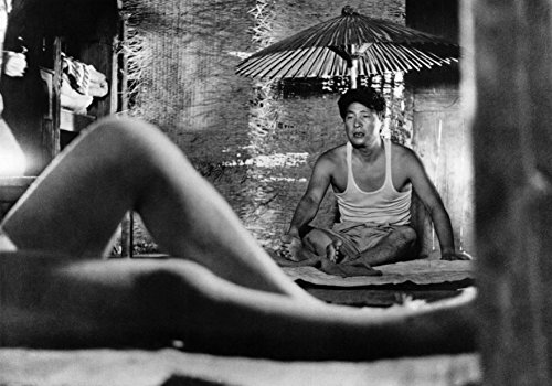 Criterion Collection: Woman In The Dunes (2 Dvd) [Edizione: Stati Uniti] [Italia]