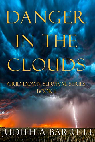 DANGER IN THE CLOUDS: A POST APOCALYPTIC SURVIVAL THRILLER (GRID DOWN SURVIVAL SERIES Book 1) (English Edition)