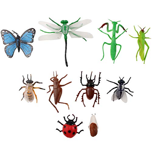 deAO Juego de Exploración Conjunto de Aventurero Incluye Mochila, Kit Atrapa Insectos y Accesorios Actividad Infantil de Ciencias Naturales (26 Piezas)