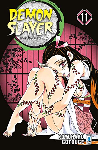 Demon slayer. Kimetsu no yaiba (Vol. 11) (Big)
