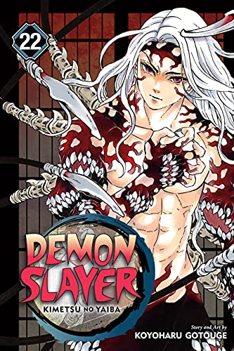Demon Slayer: Kimetsu no Yaiba, Vol. 22: The Wheel Of Fate (English Edition)
