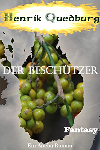 Der Beschützer: Ein Aneba-Roman (German Edition)