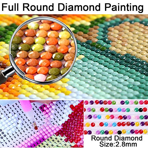 DIY 5D Diamante Pintura Taladro Completo Kit Loto rosa para Adultos por Números Cristal Rhinestone Bordado de Punto de Cruz Lienzo Diamond Painting Artes Manualidades Decoración Pared Hogar 30x40cm