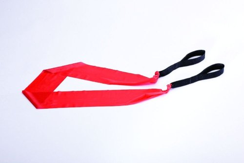 EA Sports Active - Peripherals Box (Wii) [Importación inglesa]