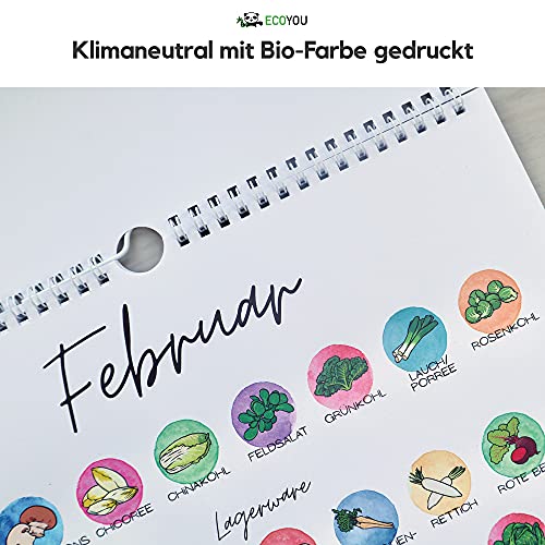 EcoYou Calendario temporal para frutas y verduras DIN A4, diseño colorido ilustrado, calendario de pared para colgar, fabricado en Alemania
