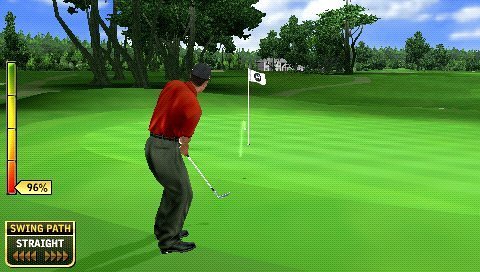 Electronic Arts Tiger Woods PGA Tour 07 PSP® - Juego (DEU)