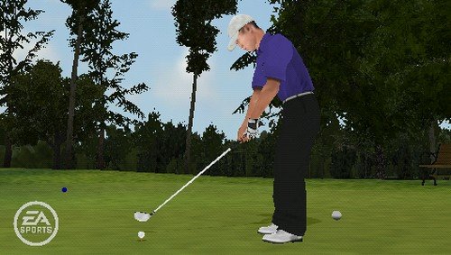Electronic Arts Tiger Woods PGA Tour 10, PSP - Juego (PSP, PlayStation Portable (PSP), Deportes, E (para todos))