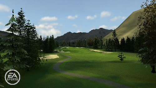 Electronic Arts Tiger Woods PGA Tour 10, PSP - Juego (PSP, PlayStation Portable (PSP), Deportes, E (para todos))