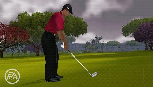 Electronic Arts Tiger Woods PGA Tour 10, PSP - Juego (PSP, PlayStation Portable (PSP), Deportes, E (para todos))