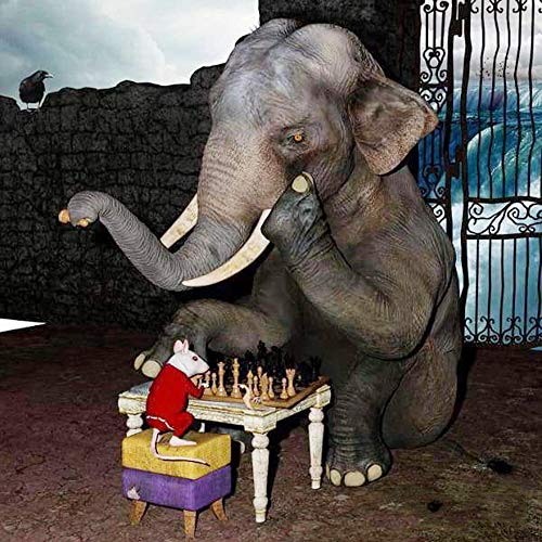 Elephant 5d diamond painting kit full drill 5d Diy Full Square Diamond Chess Match Diamante Pintura Elefante y ratón Animales Diamante Bordado Punto de cruz Etiqueta de la pared@50x60cm
