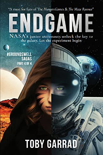 Endgame: Gifts for Gamers (Groundswell Sagas Book 4) (English Edition)