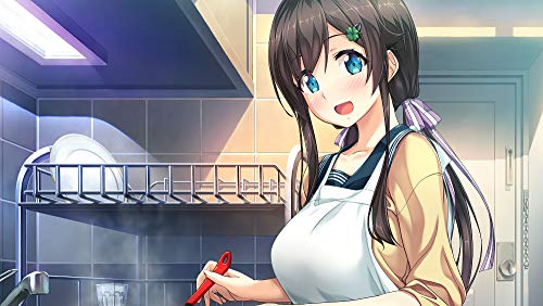 Enter grams Duplicate Key Pack Premium Edition Together with You - PS4 ([Privilege] Anywhere with Acrylic Key Chain Shipped Your Change of Clothes Tapestry-Shioshiori of Shioshiori) [video game]