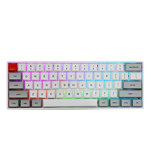 EPOMAKER SK61 61 Keys Hot Swappable Mechanical Keyboard with RGB Backlit, NKRO,Type-C Cable for Win/Mac/Gaming (Gateron Optical Black, Grey)