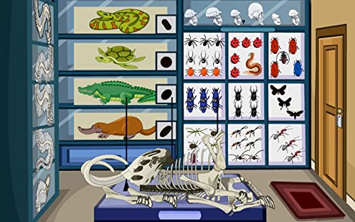 Escape Games-Zoological Museum