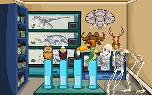 Escape Games-Zoological Museum