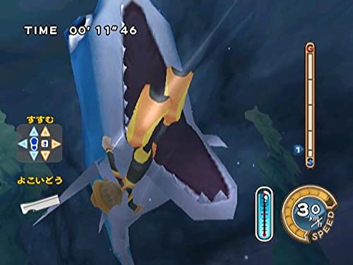 Family Trainer Treasure Adventure