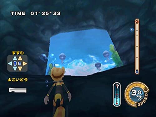 Family Trainer Treasure Adventure