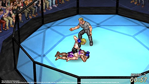 Fire Pro Wrestling World for PlayStation 4 [USA]