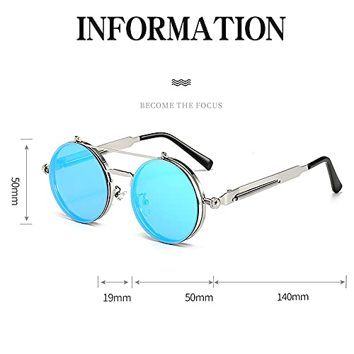 Gafas de Sol Polarizadas de Royal Punk Steam Steam Clamshell - para Gafas de Sol Redondas para Hombres y Mujeres,Plata,One Size