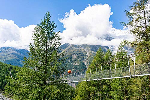 Gama completa de kits de bordado Kits de punto de cruz estampados para principiantes para kit de bordado DIY 11CT 16 × 20 (pulgadas) -Alpes Suiza Puente colgante Charles Kuonen Spruce