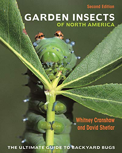 Garden Insects of North America: The Ultimate Guide to Backyard Bugs - Second Edition (English Edition)
