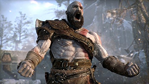 God of War Day One Edition PS4 Game [Importación inglesa]