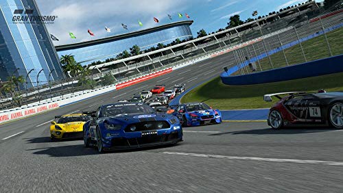 Gran Turismo Sport - PlayStation 4 [Importación francesa]