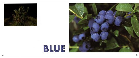 GROWING COLORS (Avenues)