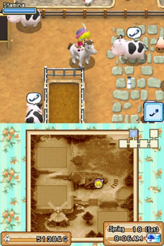 Harvest Moon: Grand Bazaar - Nintendo DS [Importación inglesa] [USA VERSION]