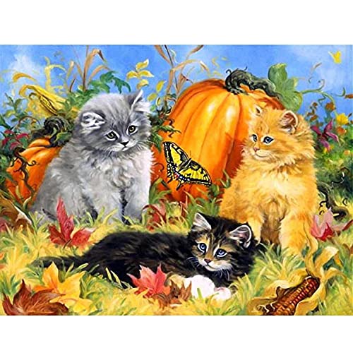 Henair DIY 5D Diamond Painting Kit Completo Gato Cuadros Diamantes Punto De Cruz Rhinestone Bordado Diamante Arte Manualidades Decoración De Pared Del Hogar 50x65cm