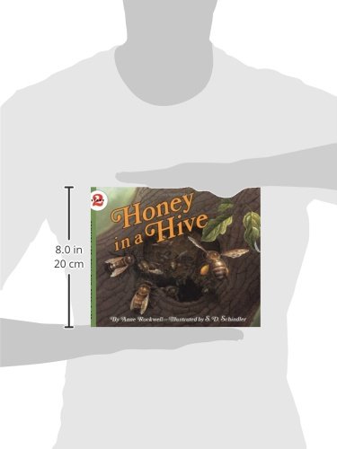 Honey in a Hive (Let's Read-and-find-out Science, Stage 2)