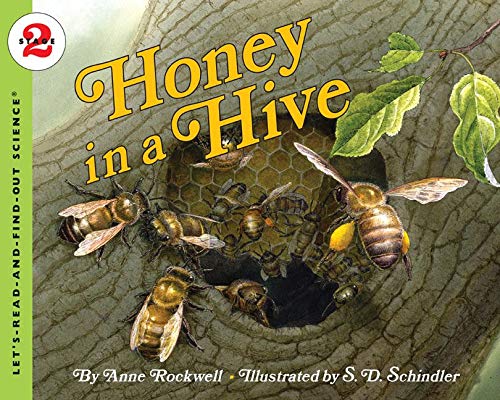 Honey in a Hive (Let's Read-and-find-out Science, Stage 2)