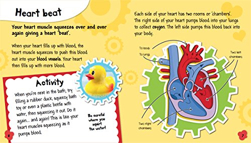 Human Body: Your Heart and Lungs (Science in Action)