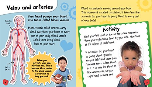 Human Body: Your Heart and Lungs (Science in Action)