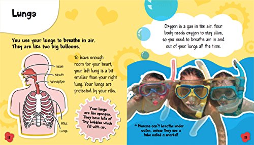 Human Body: Your Heart and Lungs (Science in Action)