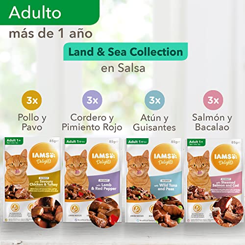 IAMS Delights Land & Sea Collection Alimento húmedo en salsa - para gatos adultos con diversos sabores a carne y pescado, 12 x 85g