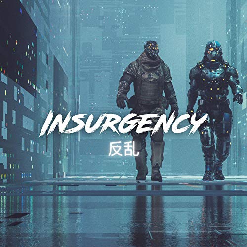 Insurgency