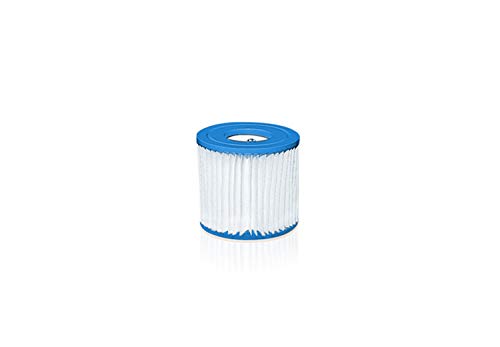 Intex, 29007, cartucho de piscina, blanco y azul, altura 10 cm, diámetro exterior 9 cm y diámetro interior 3 cm, 1 pieza